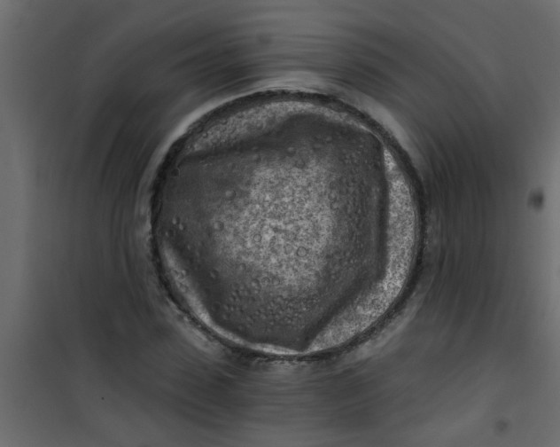 X0000101120923200807171956