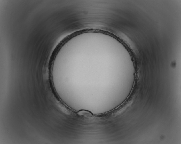 X0000101120924200807171956