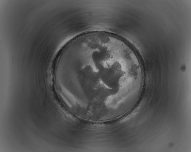 X0000101120925200807171956