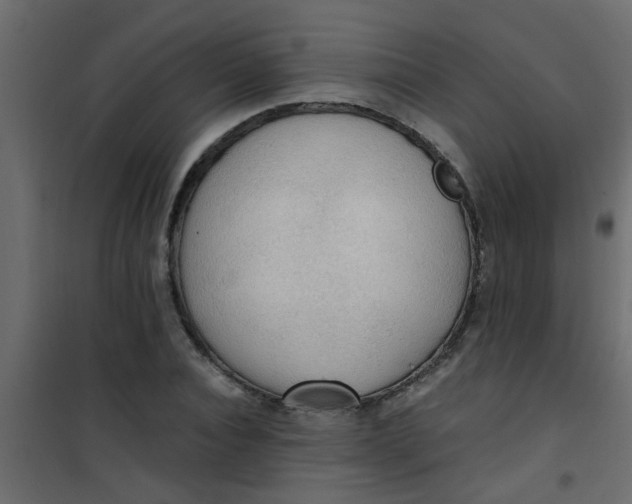 X0000101120928200807171956