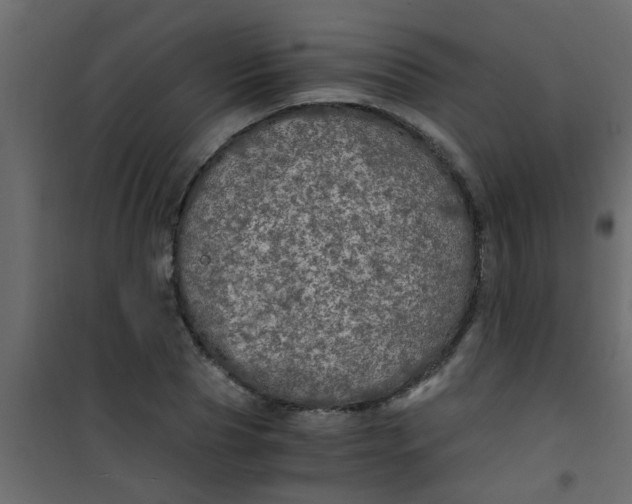 X0000101120929200807171956