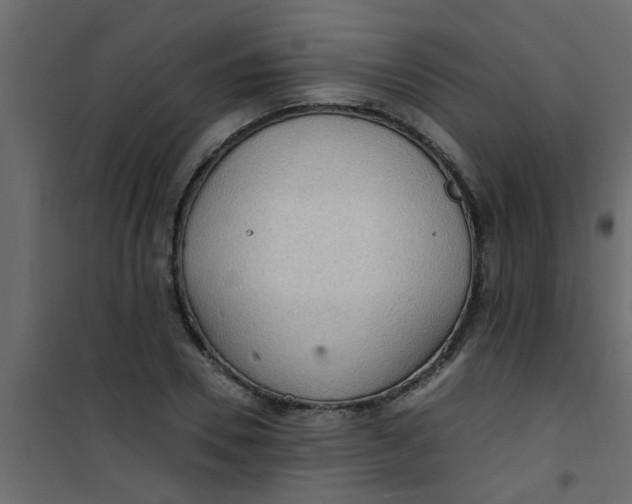 X0000101120930200807171956