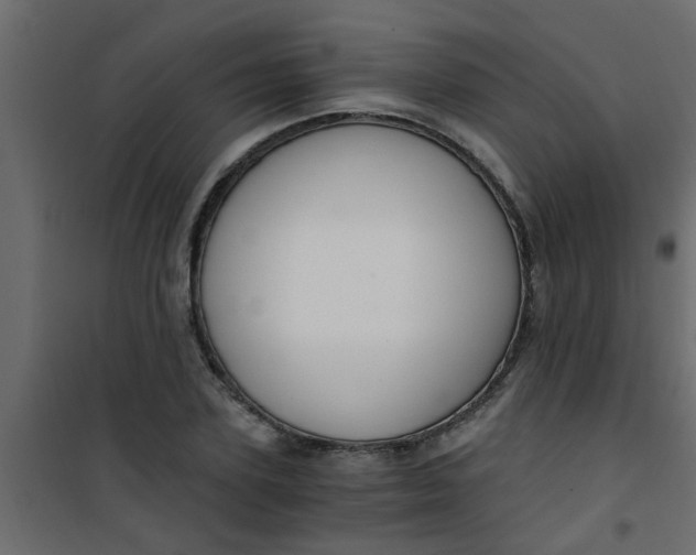 X0000101120931200807171956