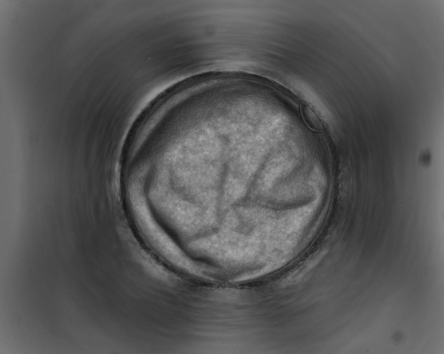X0000101120932200807171956