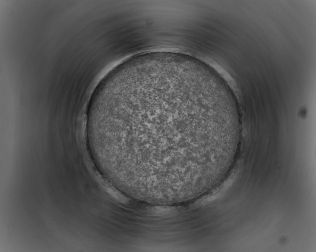 X0000101120933200807171956