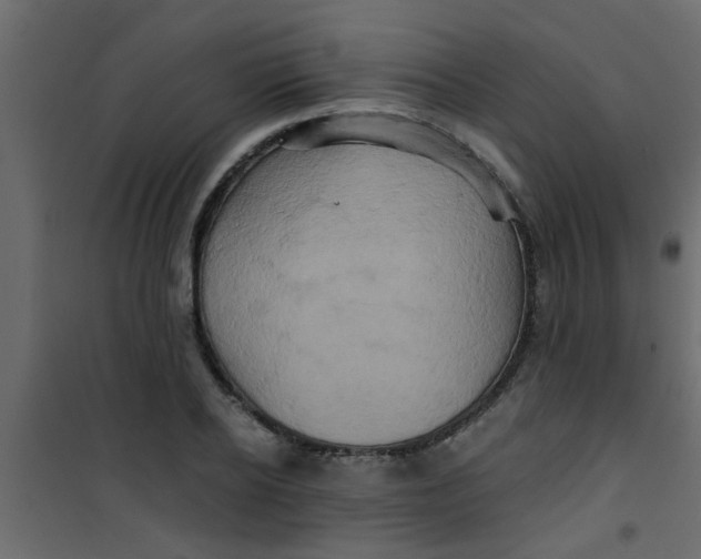 X0000101120934200807171956