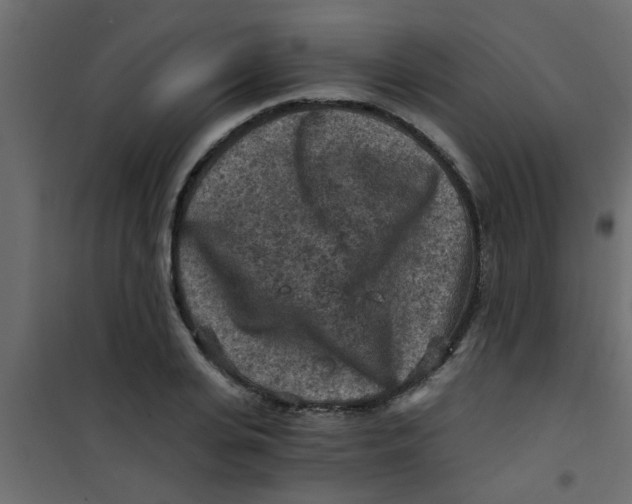 X0000101120935200807171956