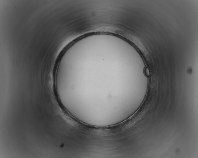 X0000101120936200807171956