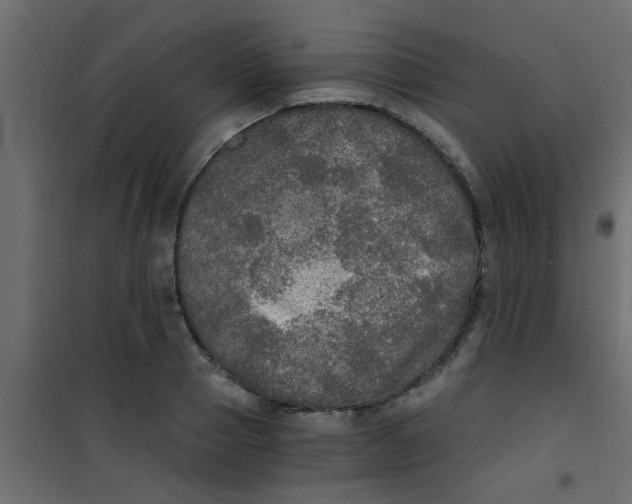 X0000101120937200807171956