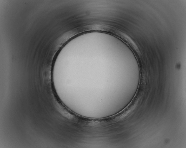 X0000101120938200807171956