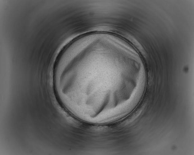 X0000101120939200807171956