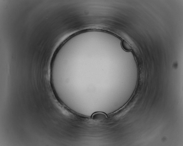 X0000101120940200807171957