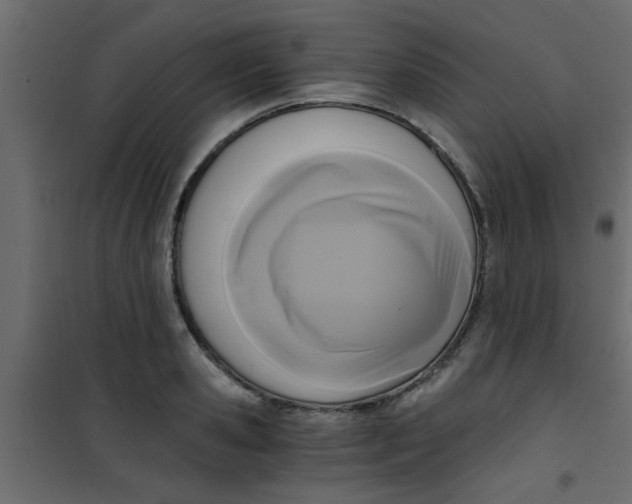 X0000101120941200807171957