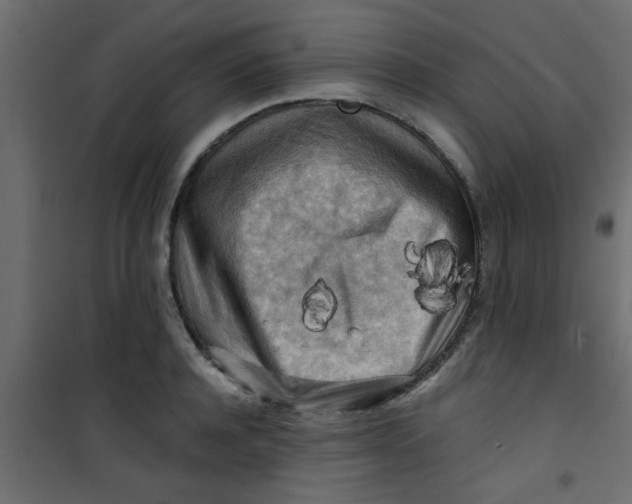 X0000101120944200807171957