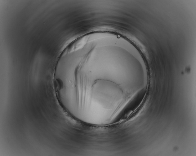 X0000101120945200807171957