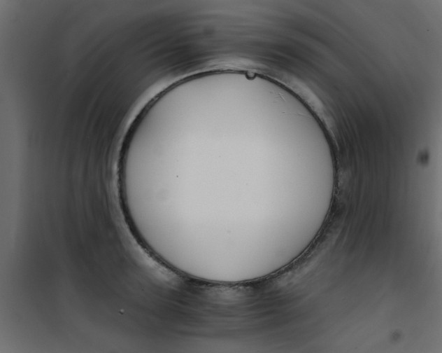 X0000101120947200807171957