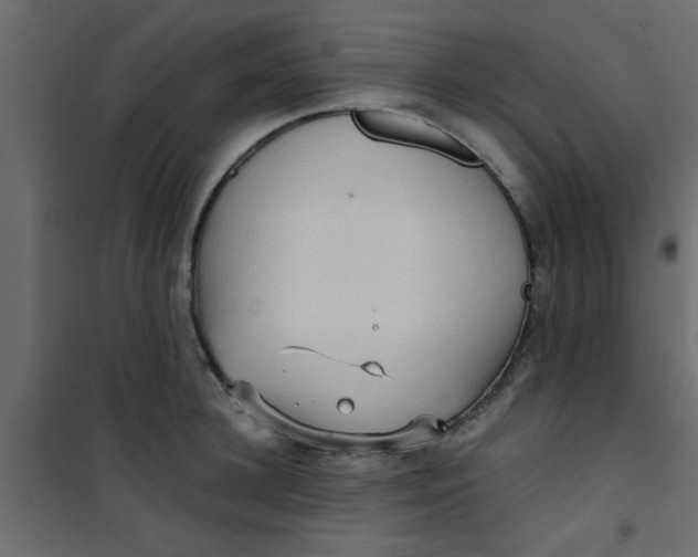 X0000101120948200807171957