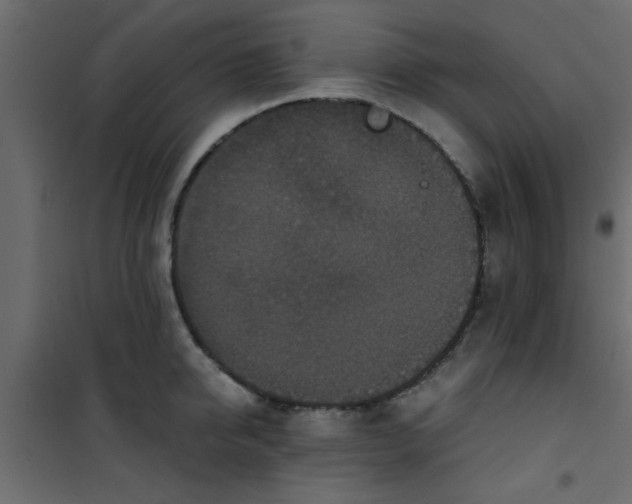X0000101120950200807171957