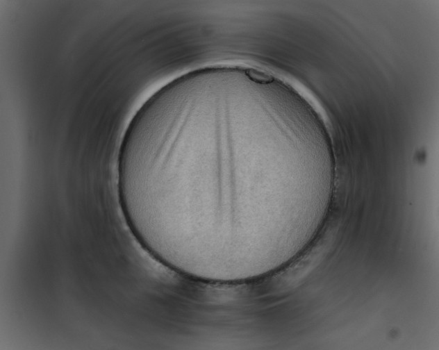 X0000101120951200807171957