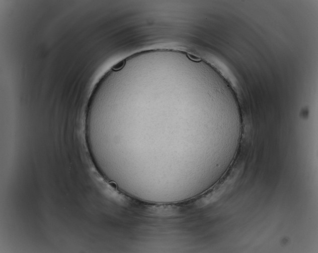 X0000101120952200807171957