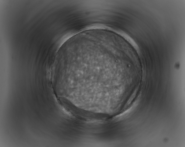 X0000101120953200807171957