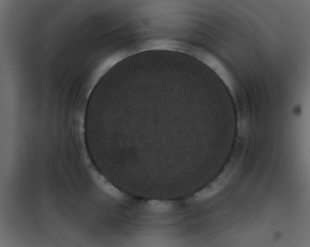 X0000101120954200807171957