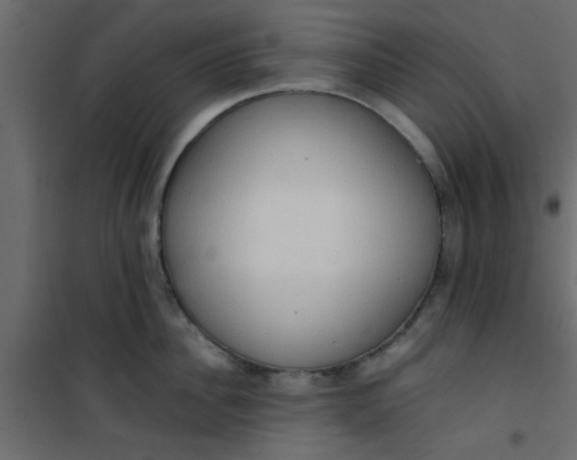 X0000101120956200807171957