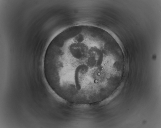 X0000101120957200807171957