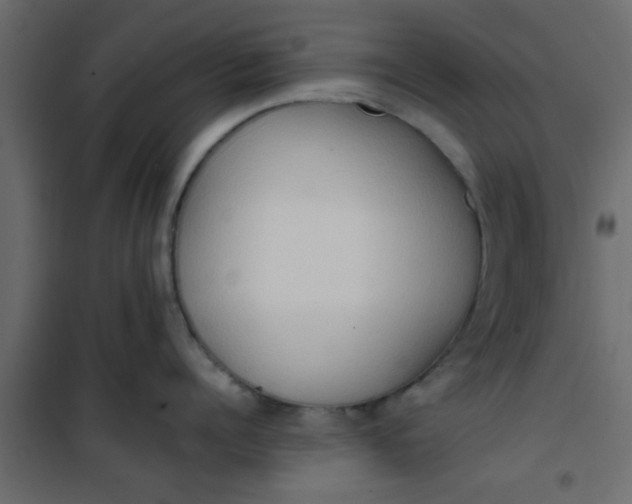 X0000101120960200807171957