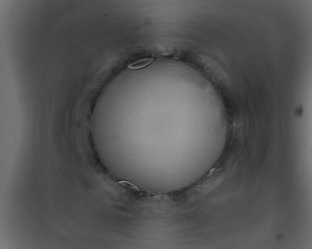 X0000101120961200807171956