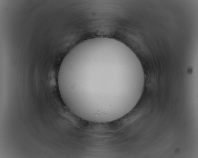X0000101120962200807171956