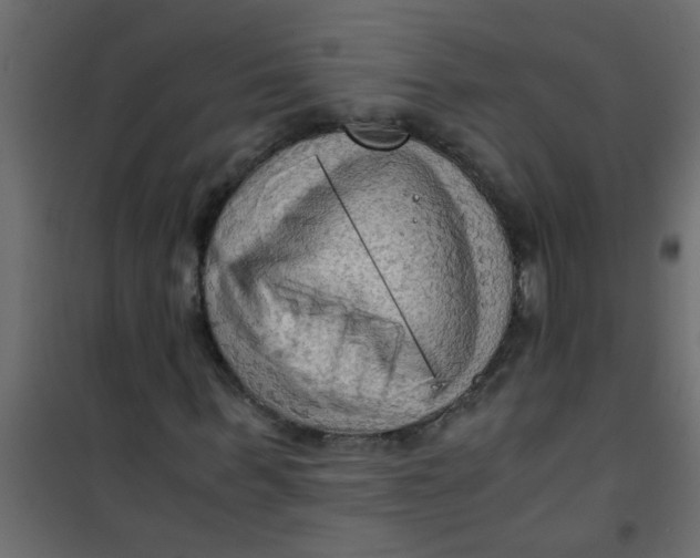 X0000101120963200807171956