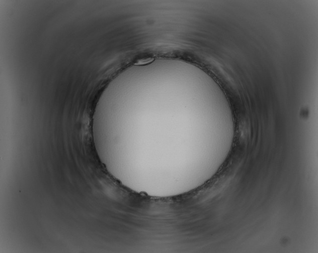 X0000101120964200807171956