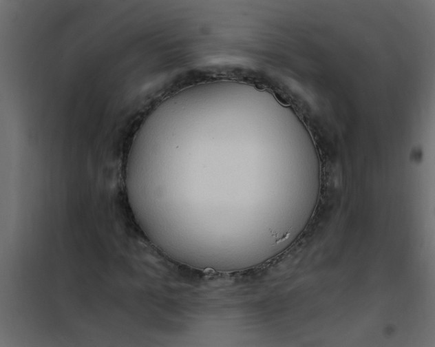 X0000101120965200807171956