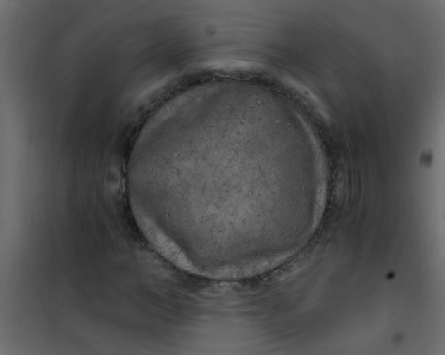 X0000101120966200807171956