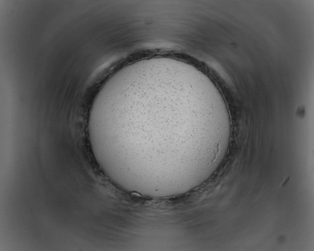 X0000101120967200807171956