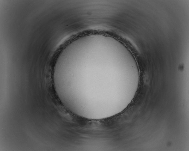 X0000101120968200807171956