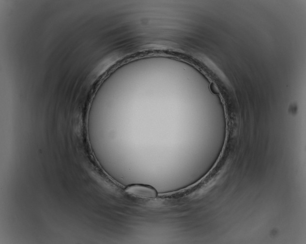 X0000101120969200807171956