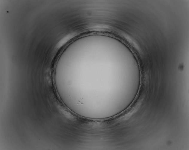 X0000101120970200807171956