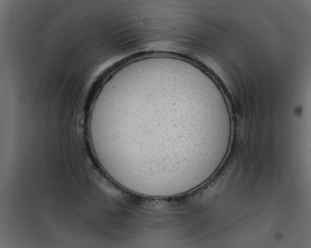 X0000101120971200807171956