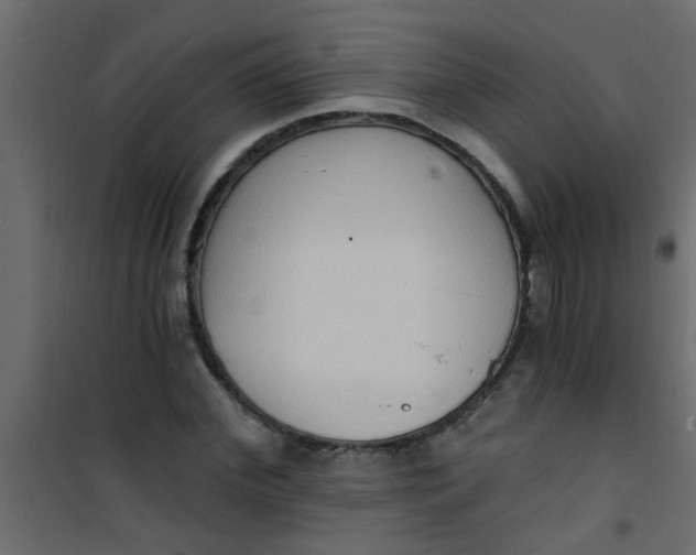 X0000101120972200807171956