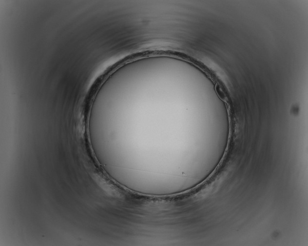 X0000101120973200807171956