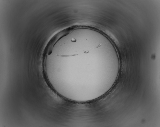 X0000101120976200807171956