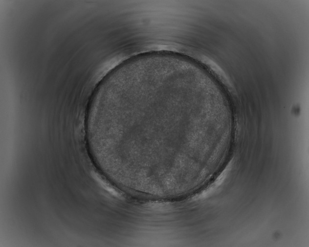X0000101120977200807171956