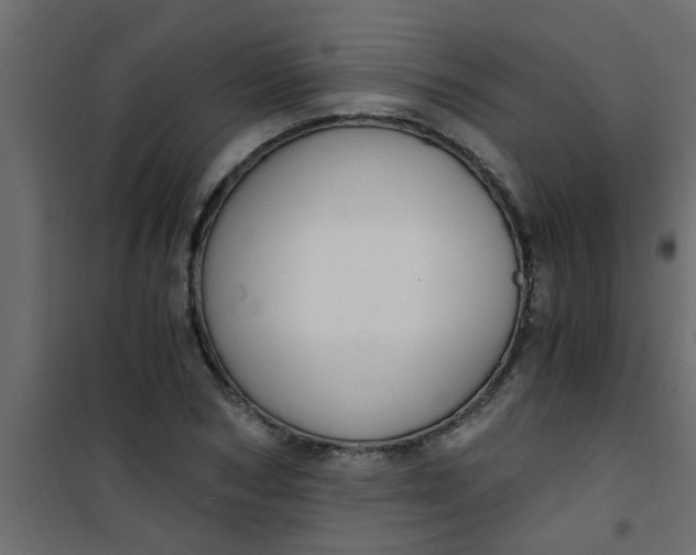 X0000101120978200807171956