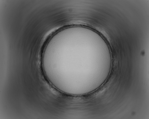 X0000101120979200807171956