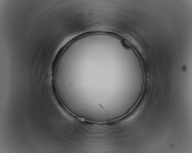 X0000101120981200807171956