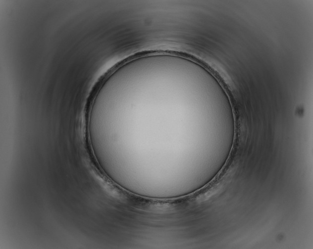 X0000101120982200807171956