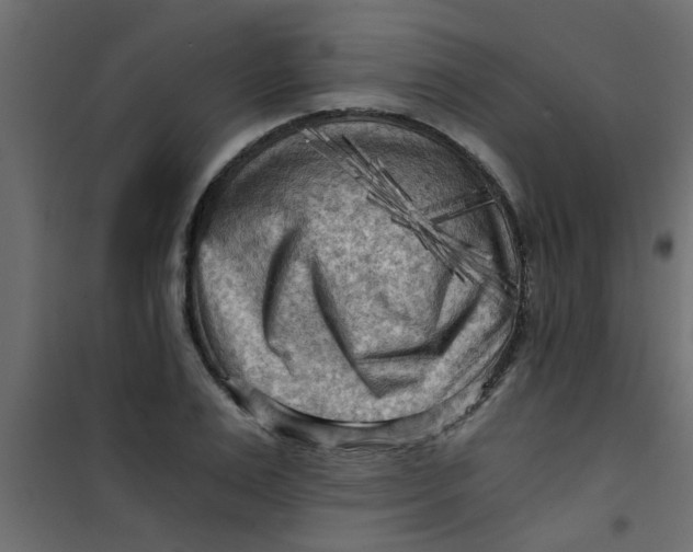 X0000101120983200807171956