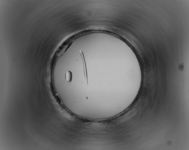 X0000101120984200807171956